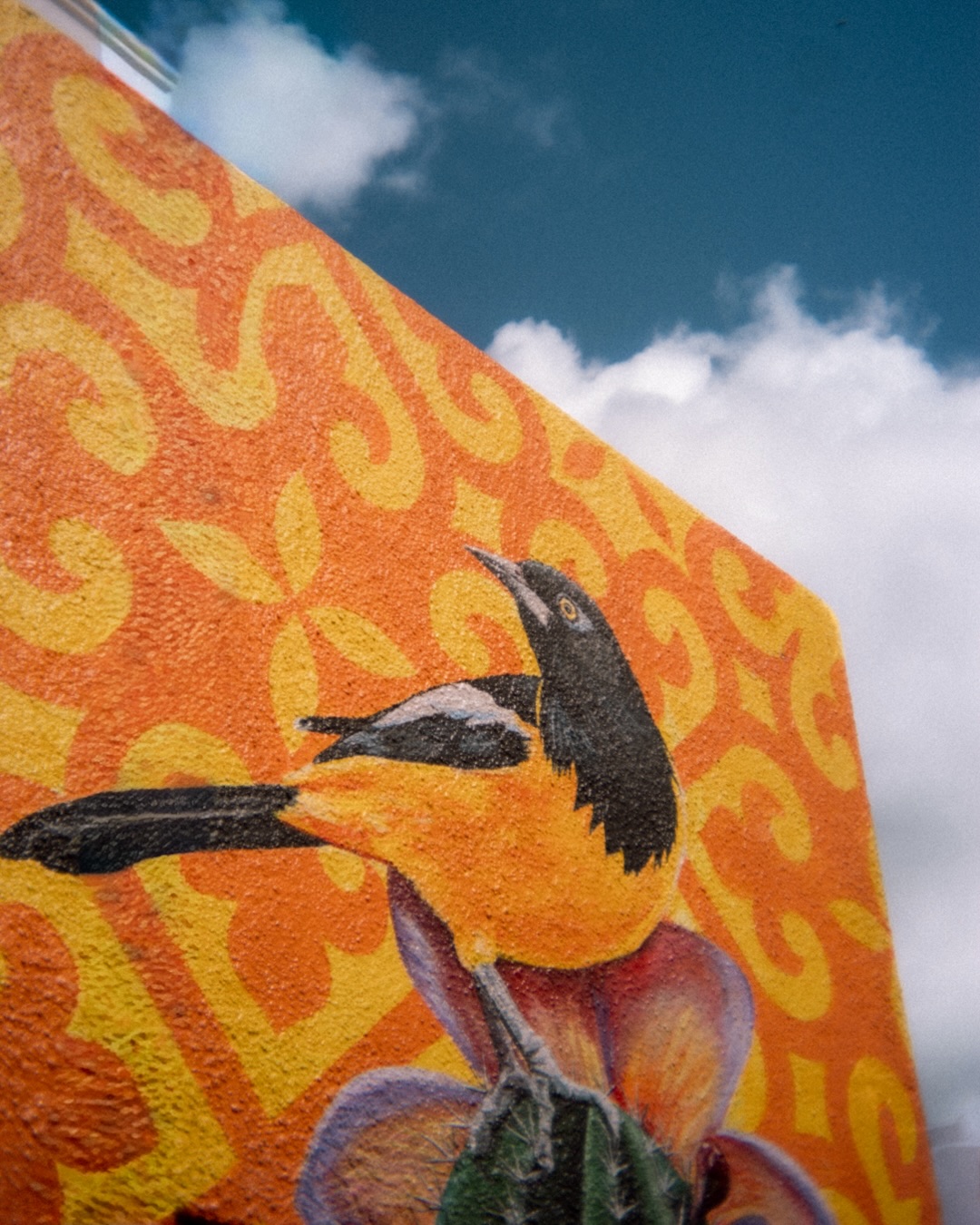 Caribbean Color · photograph 2 of 6