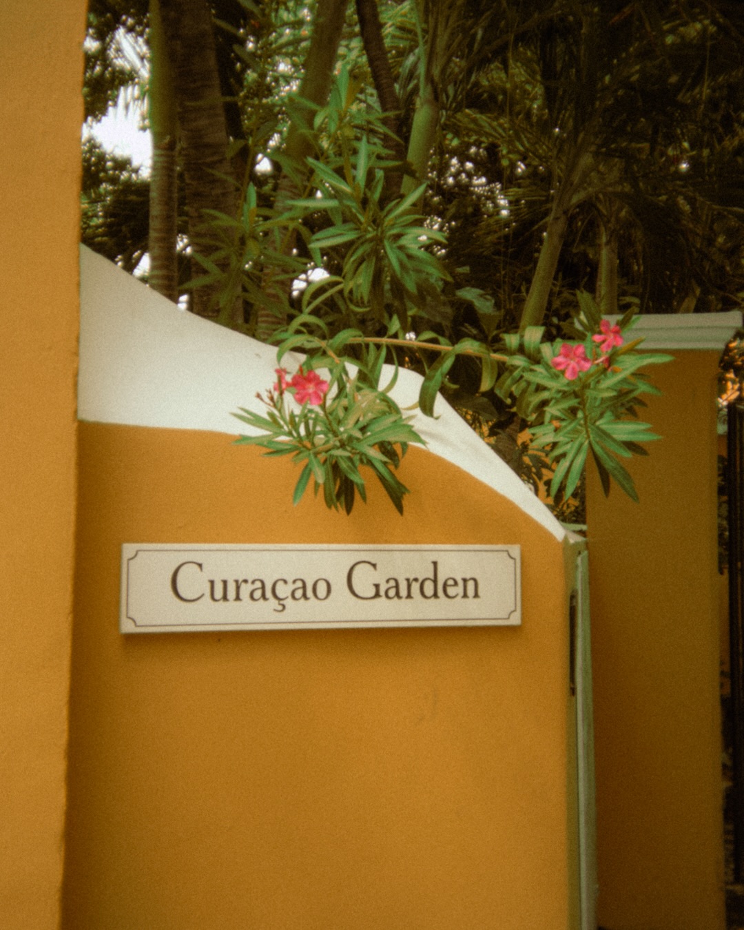 Caribbean Color · photograph 6 of 6