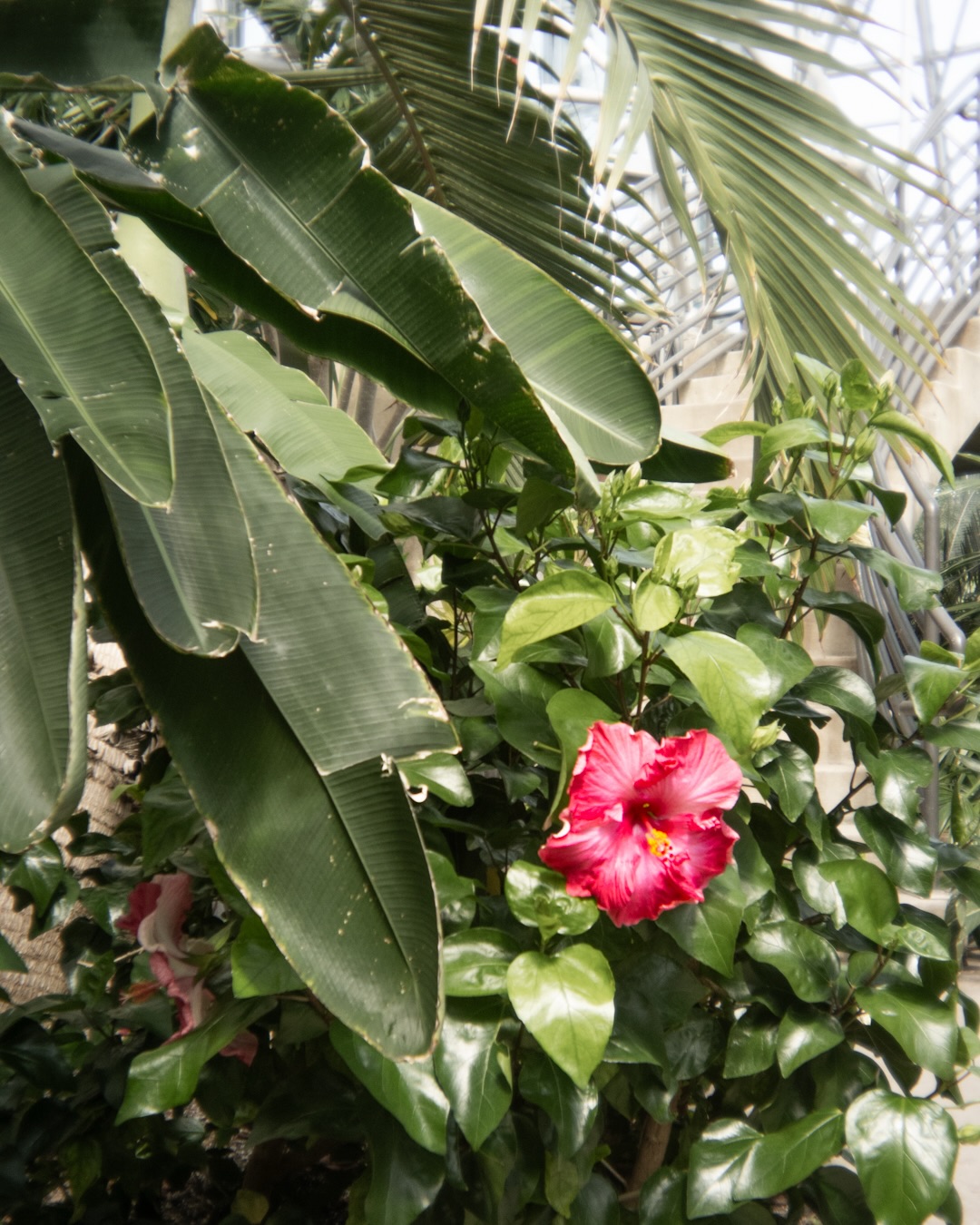 In the Garden · photograph 10 of 15