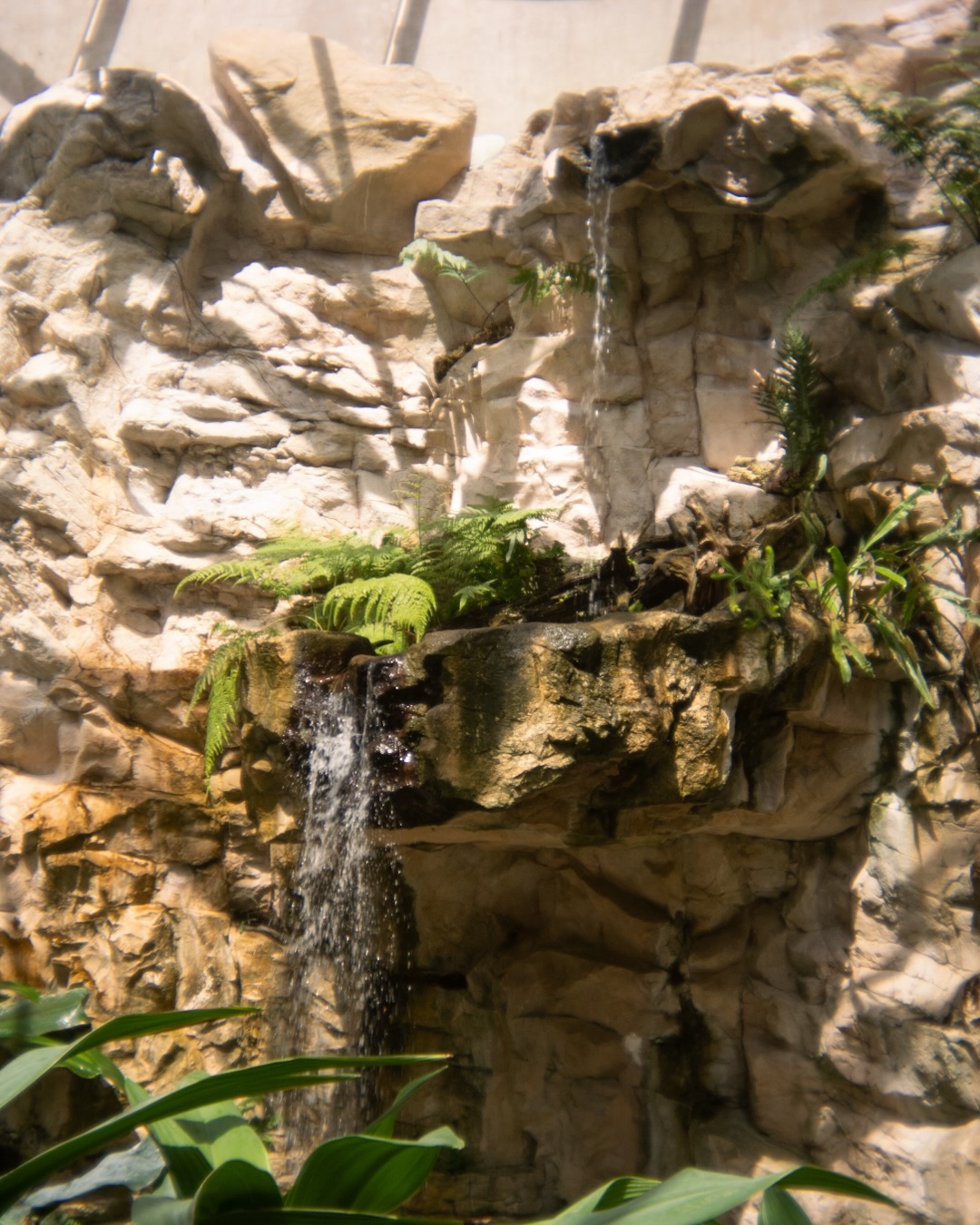 In the Garden · photograph 9 of 15